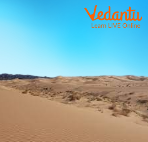 Gobi Desert