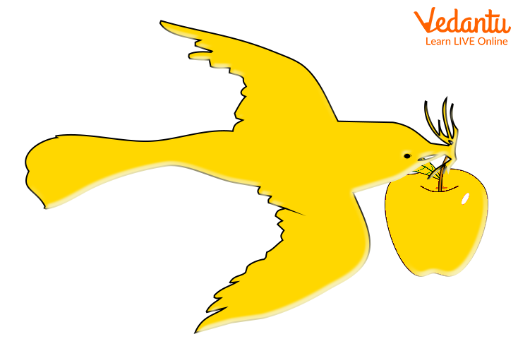The Golden Bird