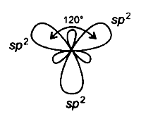 sp2 hybrid orbital