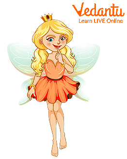 The Young Fairy Princess