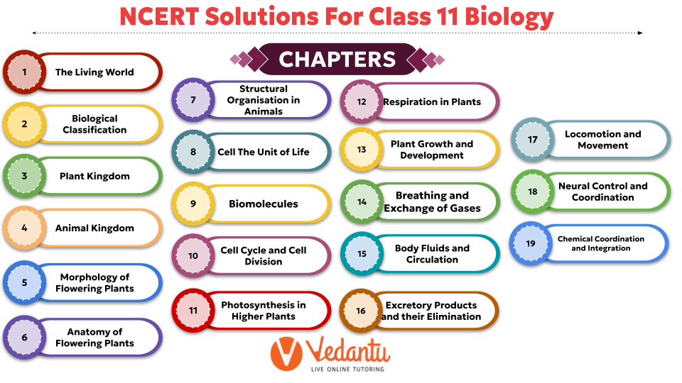 NCERT Solutions for Class 11 Biology