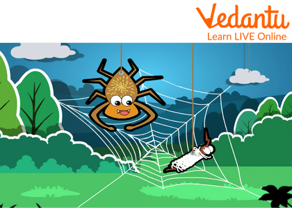 The Mosquito Trapped in the Spider’s Web