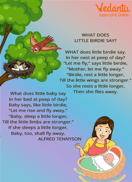 What Does Little Birdie Say