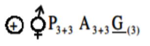 Floral formula