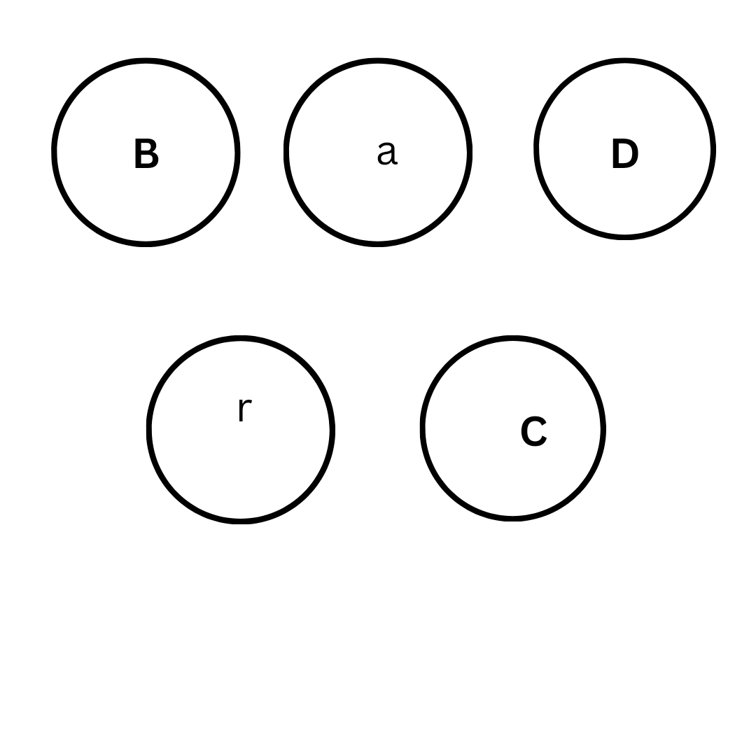 an image of some balls with B,D and C written on it using uppercase letters and a and r is written on it using the lower letters