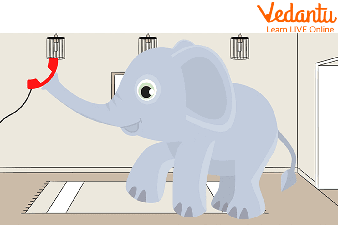 Elephant Trying to Make a Call