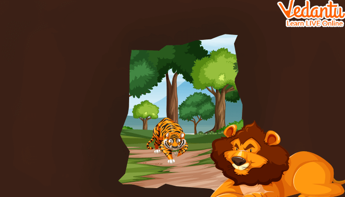 The Tiger and The Lion
