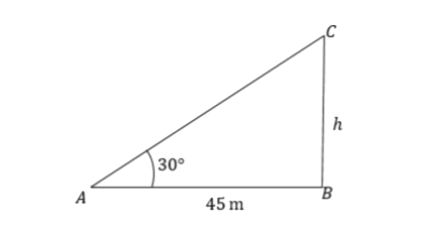 seo images