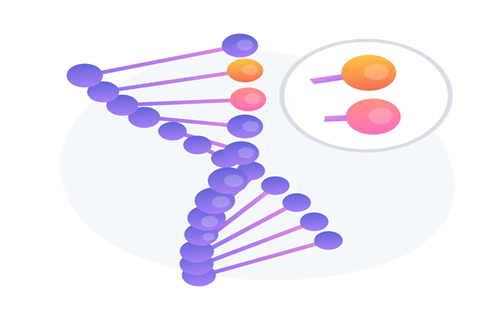Structure of RNA