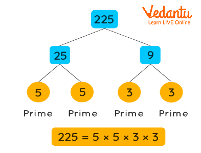 225 Factor Tree