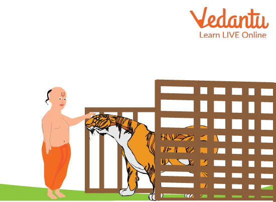 The Tiger and the Brahmin