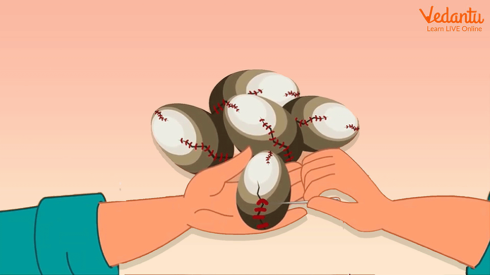The tailor stitching the five eggs carefully