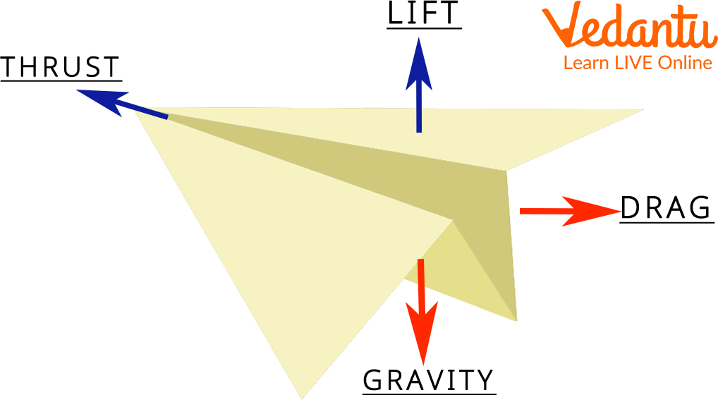 Paper Plane