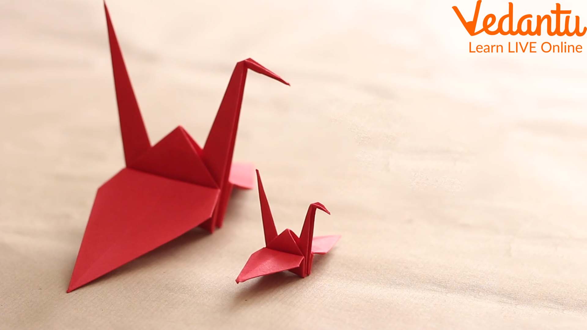 Crane Origami