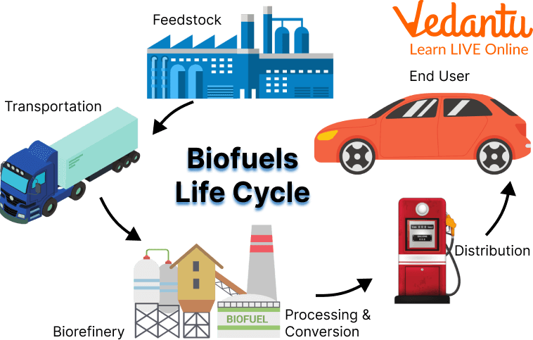 Bioenergy