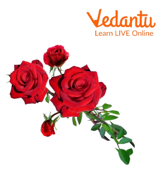 Roses are Red