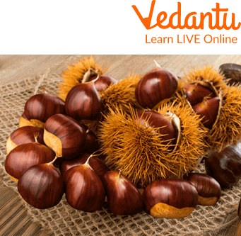 Chestnuts