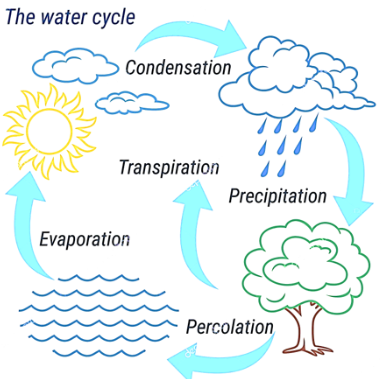 Water cycle