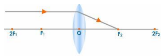 Convex Lens Image Formation