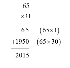65 x 31