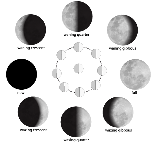Moon Phases