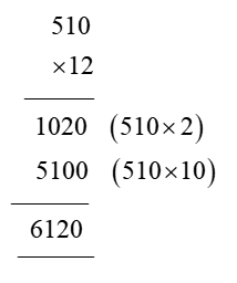 510 x 12