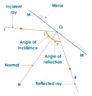 Reflection by a Plane Mirror
