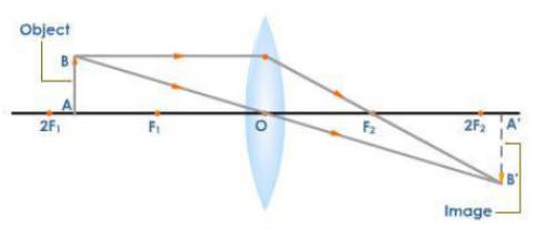 Object is placed Between F1 and 2F1