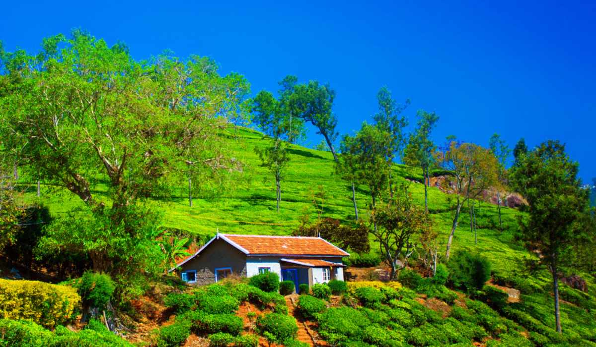 Coonoor, Tamil Nadu: A Misty Hill Station Escape