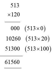 513 x 120