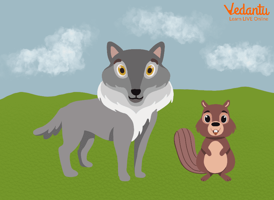 The Wolf and the Beaver