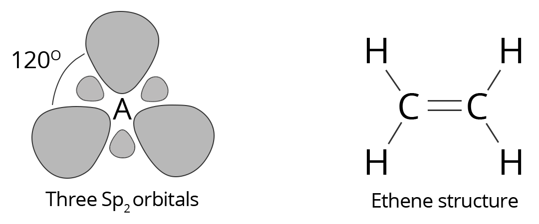 Diagonals of Sp2 hybridization