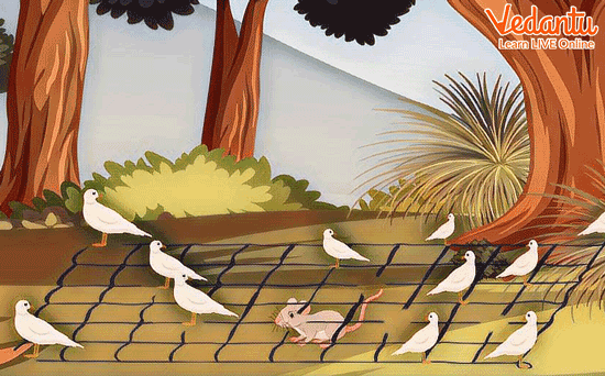 The Rat Set the Pigeons Free