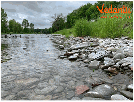 River Bed and River Bank