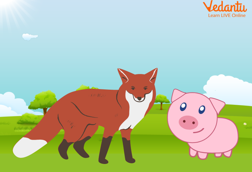 Fox and A Pig