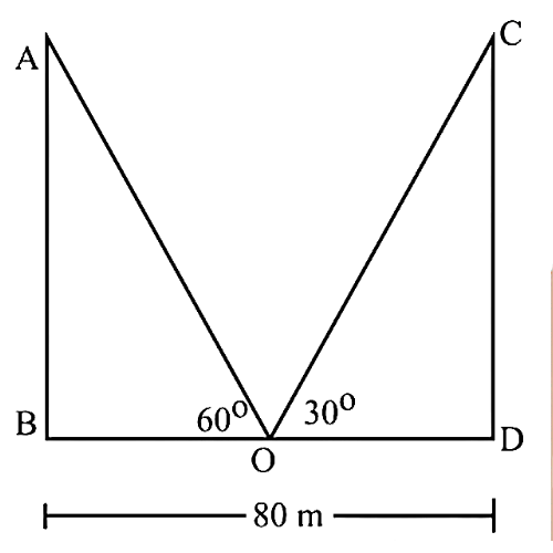 Two poles of equal heights are standing opposite each other on either side of the road