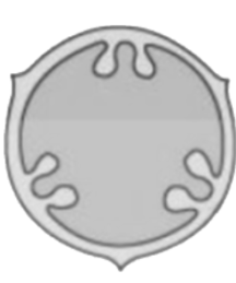 seo images