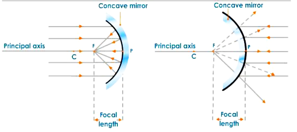 Principal Focus