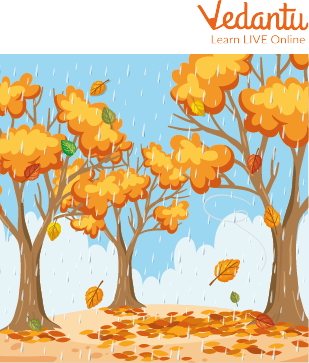 Autumn