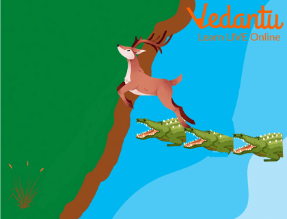 The Deer Crossed The River