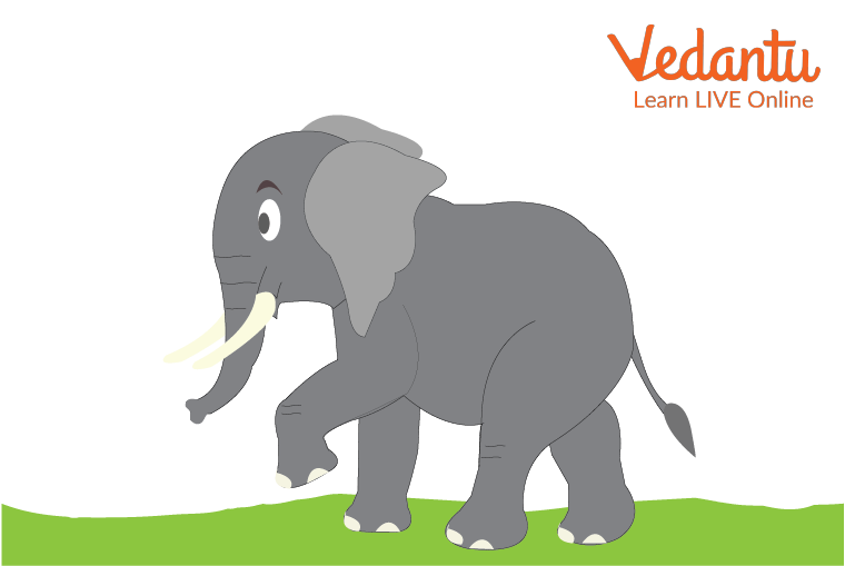 The Proud and Disrespectful Elephant