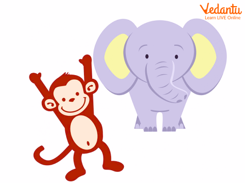 Monkey and the Elephant