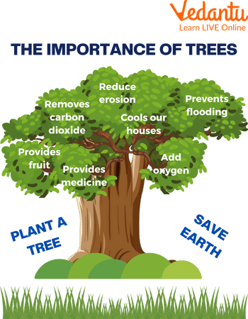 Importance of Trees