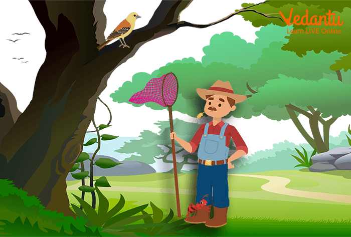 An ant stinging a bird-catcher to save a bird