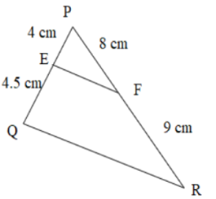 points on the sides 2