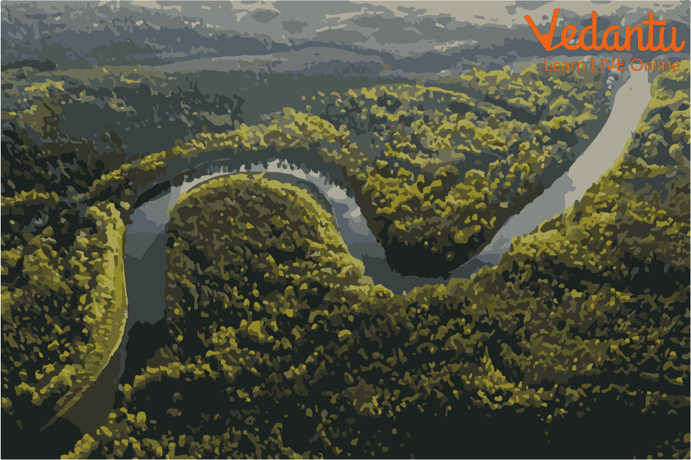 The Amazon River