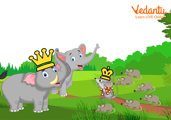 The elephants and the rats