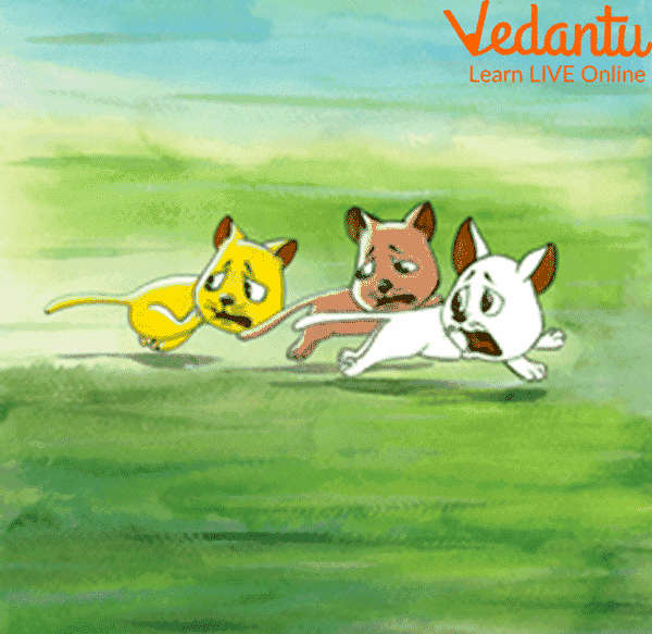 Three Little Kittens Story