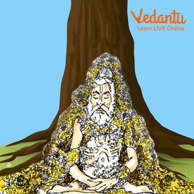 Visual Representation of The story of Valmiki