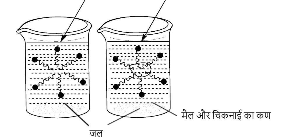 Showing the refining action of soap
